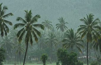 केरल में मॉनसून की रफ्तार धीमी, मौसम विभाग ने बताई देरी की वजह