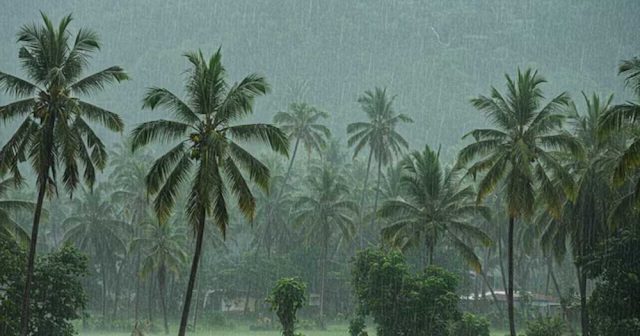 Mansoon.jpg