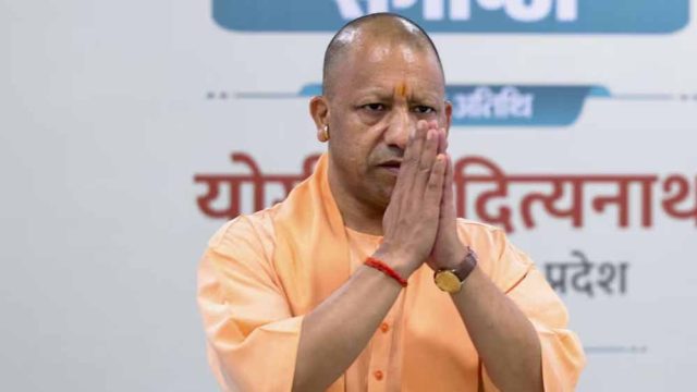 Yogi_02-9.jpg