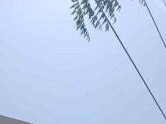 एमपी ट्रांसको ने सुरक्षित दूरी सुनिश्चित कर मानव जीवन को जोखिम से बचाया