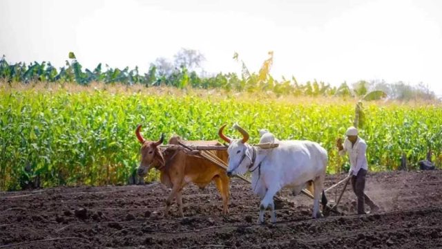 kISAN_01-3.jpg