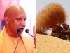 प्रदेश में गेहूं खरीद ने पकड़ी रफ्तार, 28 अप्रैल तक 6.10 लाख मीट्रिक टन गेहूं की खरीद