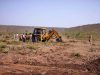 नीमच में 12 हेक्टेयर वन भूमि अतिक्रमण के प्रयास से मुक्त