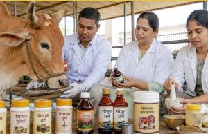 गो संरक्षण विशेष : यूपी की पंचगव्य थेरेपी देगी भारतीय चिकित्सा पद्धति को नई दिशा
