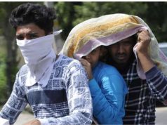 MP के 42 जिलों में भीषण लू का अलर्ट, टीकमगढ़-छतरपुर-पन्ना में रेड वार्निंग; 46.8 डिग्री पहुंचा पारा