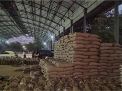 MP में रिकॉर्ड गेहूं खरीदी! 13.36 लाख किसानों से 103 लाख मीट्रिक टन उपार्जन