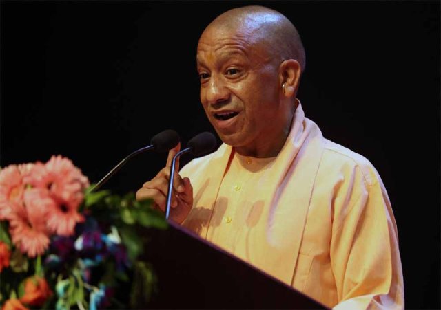 yogi06-2.jpg