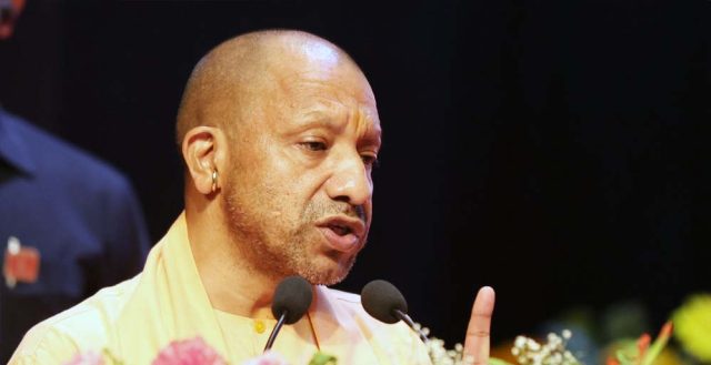 yogi_0_2_1-4.jpg