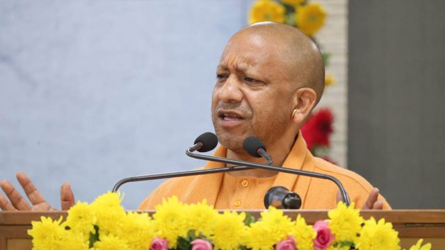 yogi_133_4-2.jpg