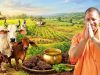 गौ संरक्षण बना यूपी की नई ताकत, योगी सरकार ने ग्रामीण अर्थव्यवस्था को दी जबरदस्त रफ्तार